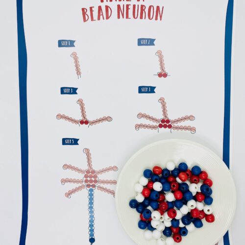 Poster: Make a bead neuron